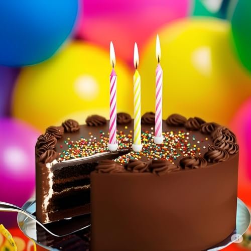 2-Piece Stainless Steel Cake Knife And Server Set, Gift Box (Silver)