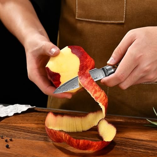 3.5-Inch Damascus Paring Kitchen Knife, VG10 Steel Core, Pakkawood Handle