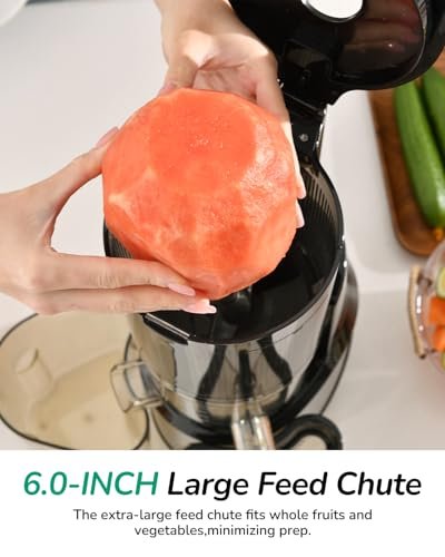 Canoly 3-in-1 Cold Press Juicer C09, Makes Juice & Sorbet & Nut Milk