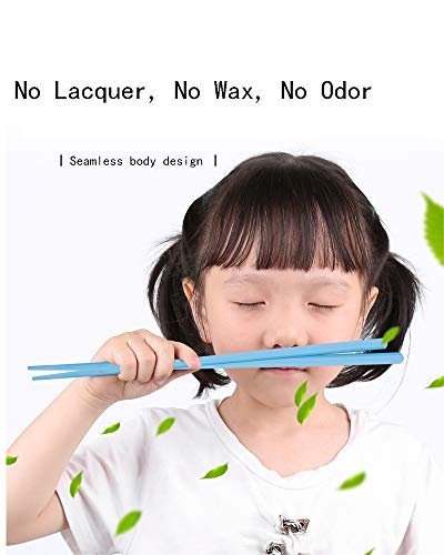 Colorful Fiberglass Chopsticks, Dishwasher Safe Chopstick, Reusable Non-slip Chop Sticks, 9 1/2 Inches, 5 Pairs