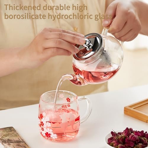 DOPUDO Glass Teapot with Infuser, 20 oz Borosilicate Tea Kettle