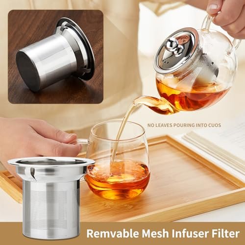 DOPUDO Glass Teapot with Infuser, 20 oz Borosilicate Tea Kettle