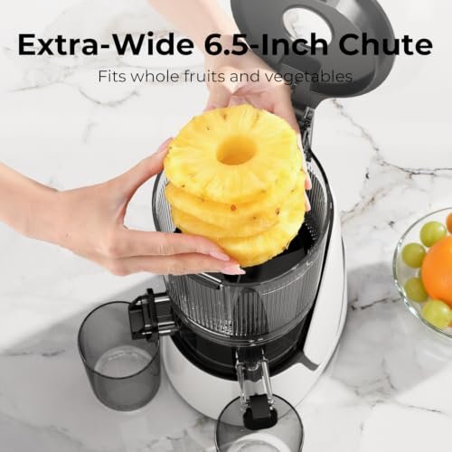 EanOruus Juicer Machines, 3-in-1 Cold Press Juicer, Bright White
