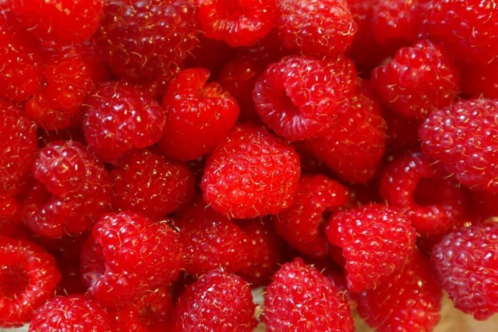 summer_produce_recipe_ideas-1024x683.jpeg
