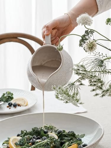 LE TAUCI Gravy Boat with Ladle and Saucer Stand 24oz, Ceramic Sauce Boat with Tray for Salad Dressings, Creamer, Broth, Black Pepper, Set of 1, Arctic White, Firework