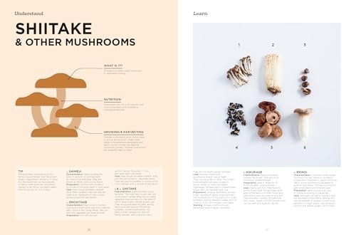The Complete Illustrated Guide to Japanese Cooking: Techniques, Ingredients & Recipes