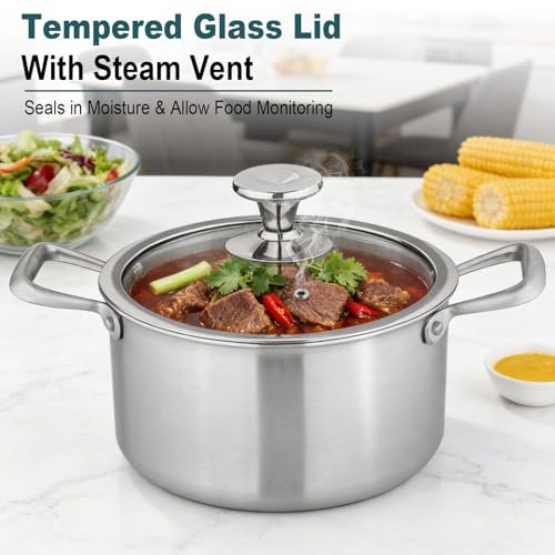 Titanium Soup Pot 6 Quart with Lid, Tri-Ply Induction Stock Pot